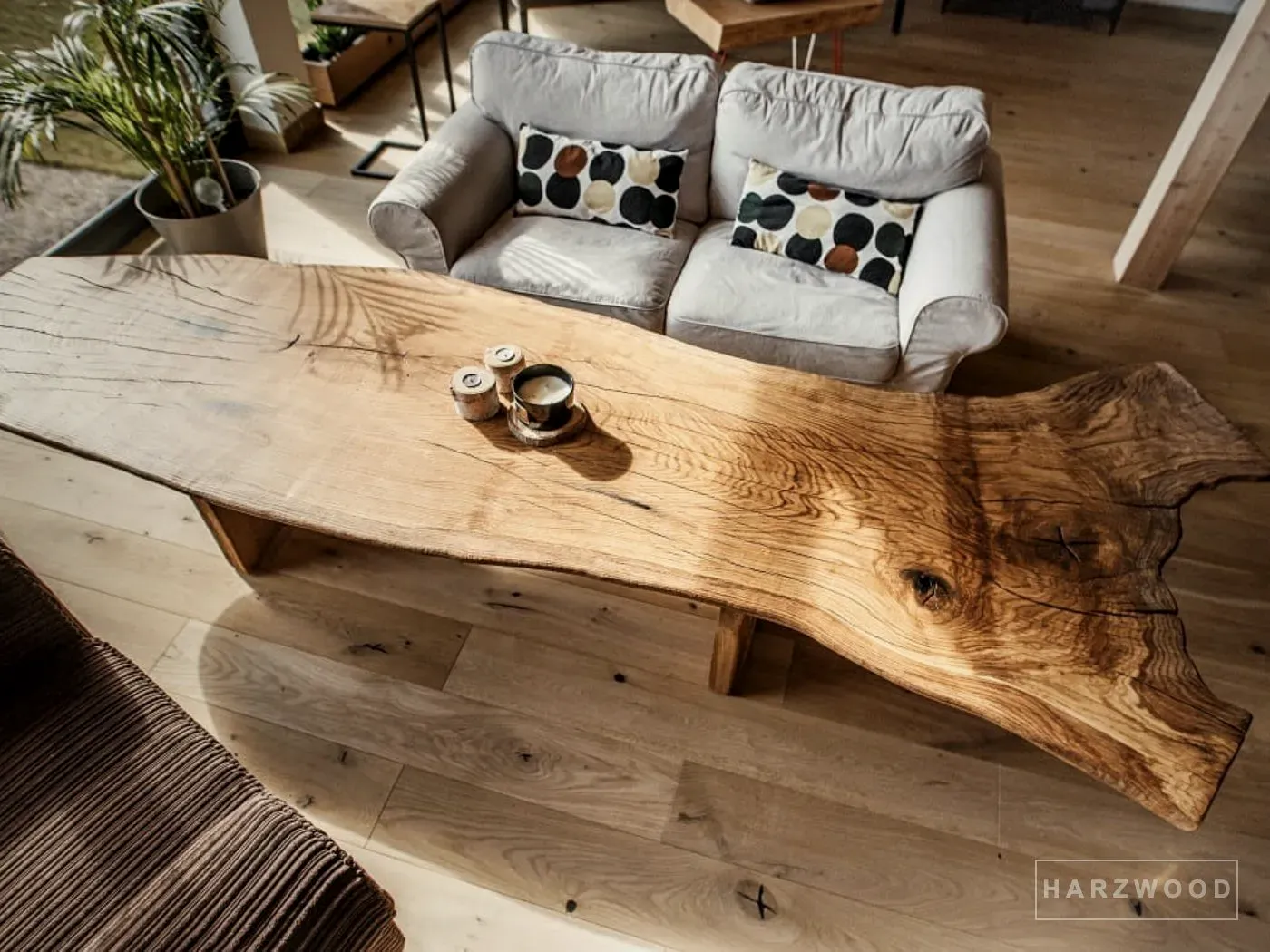 Couchtisch aus einer freigeformten Eichenscheibe auf Holzfuß